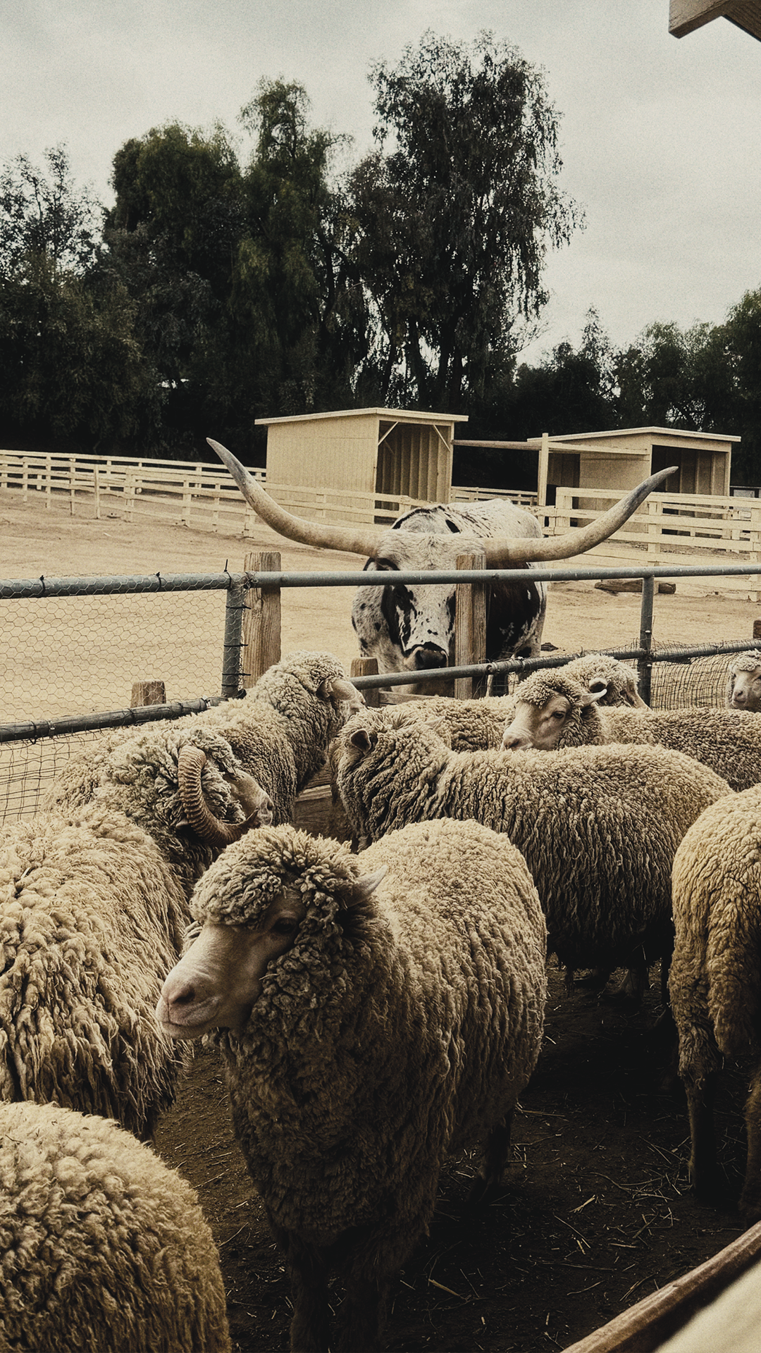 Slider Image 13
