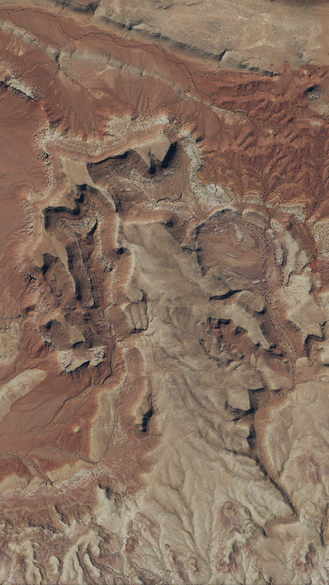 Slider Image 4
